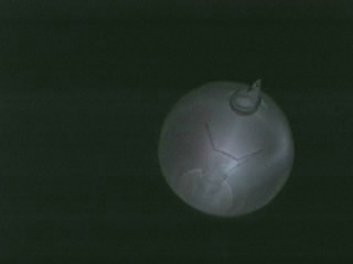 lampa CO2 0,01 Tr.jpg