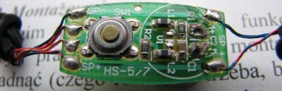 wnetrznosci_HS-5.jpg