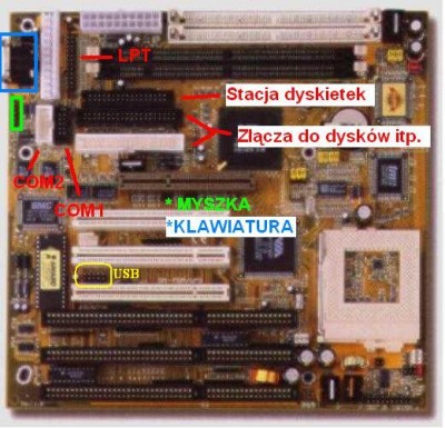 plytaglowna.jpg