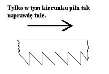Brzeszczot.JPG