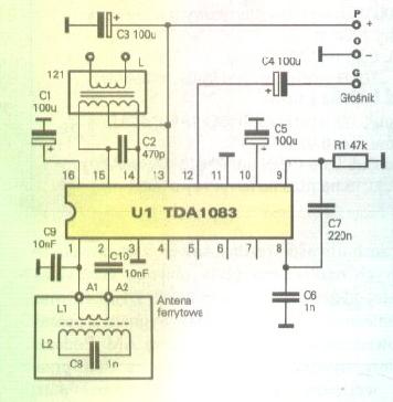 AM tda1083.JPG