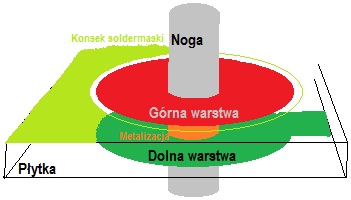 pady.jpg