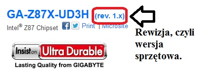 Rewizja.jpg