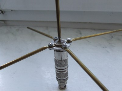 fotka ant 002.jpg