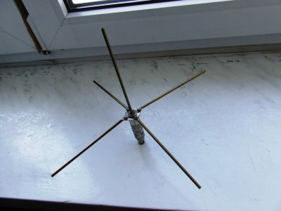 fotka ant 001.jpg