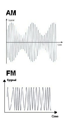 AMFM jpg.JPG