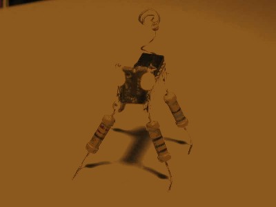 animachip3.jpg