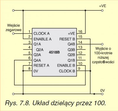 Dziel 100.jpg