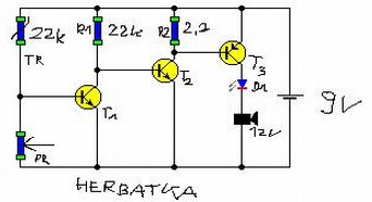 herbatka 1.0.JPG